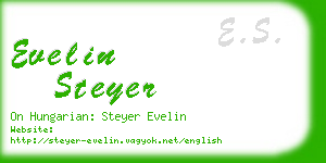 evelin steyer business card